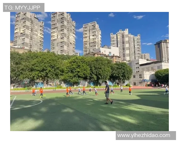 高中足球群的热血青春与梦想追逐共同成长的精彩旅程